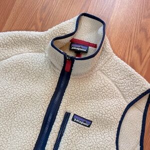 Men's Patagonia Retro Pile Fleece Vest